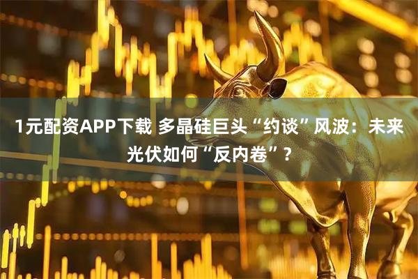 1元配资APP下载 多晶硅巨头“约谈”风波：未来光伏如何“反内卷”？