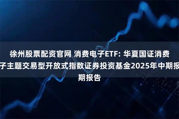 徐州股票配资官网 消费电子ETF: 华夏国证消费电子主题交易型开放式指数证券投资基金2025年中期报告