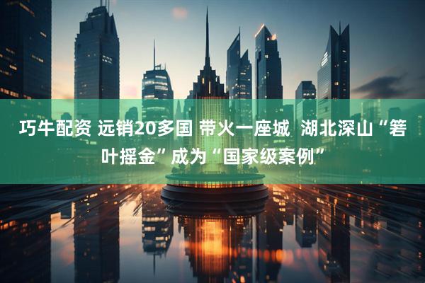 巧牛配资 远销20多国 带火一座城  湖北深山“箬叶摇金”成为“国家级案例”